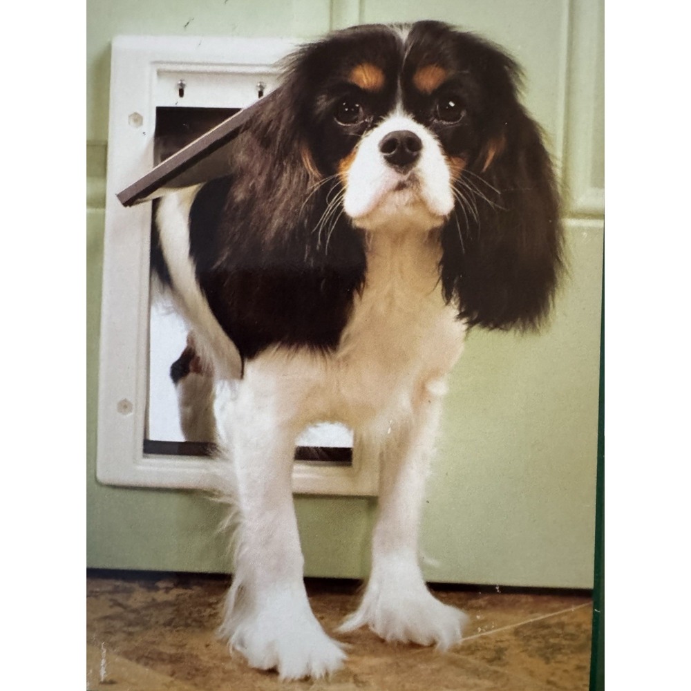 PetSafe Small Plastic Pet Door with UV Protection